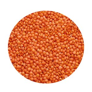 red-lentils-nipper